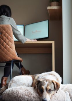 Goele Nolmans FinaFlorence virtueel assistent VA va virtual assistant administratieve hulp admin support admintaken zorgsector zorgprofessionals zorgprofessional zorg administratieve hulpverlening administratieve duizendpoot administratieve duizendpoot freelance administratieve ondersteuning medical management assistent medisch secretaresse freelance administratieve hulp ondersteuning vanop afstand Limburg Bilzen kosten virtueel assistent social media uitbesteden VA virtual assistant België personal assistant persoonlijk assistent medisch secretariaat tijdelijke vervanger medisch secretariaat praktijken Allround administratie Medische administratie financiële administratie HR administratie eventorganisatie zorgsector zorg